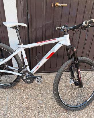 MOUNTAIN BIKE BIESSE