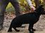 Immagine 26