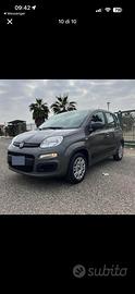 Panda 1.2 easy