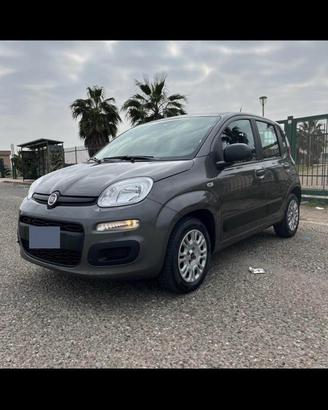 Panda 1.2 easy