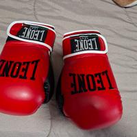 guantoni da kivkboxing