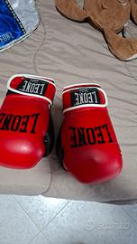 guantoni da kivkboxing