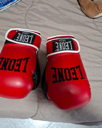 guantoni da kivkboxing