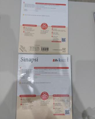 Libro Sinapsi