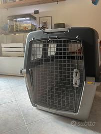 Kennel xxl per cane