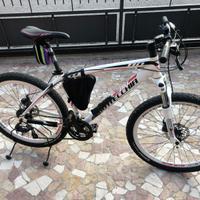 Mountain bike