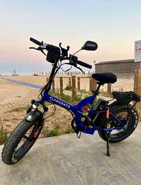 Bicicletta Elettrica