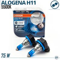 Lampadine H11 OSRAM Luce Bianca Fredda 5500K +50%