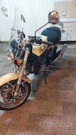 DUCATI GT 1000