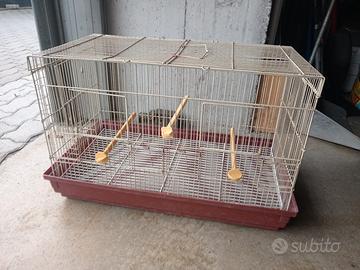 gabbie per uccelli 