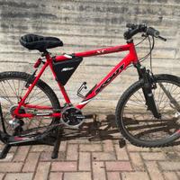 mtb scout