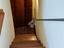 Immagine 21
