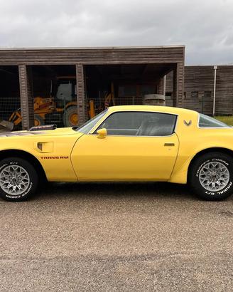 PONTIAC TRANS AM 6.6 V8 del 1979
