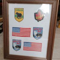 STEMMI USA COLLEZIONE 