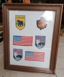 STEMMI USA COLLEZIONE 