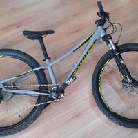 Specialized Pitch mtb