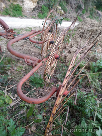 Ranghinatore Trattabile