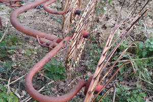 Ranghinatore Trattabile