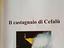 Immagine 4