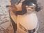 Immagine 3