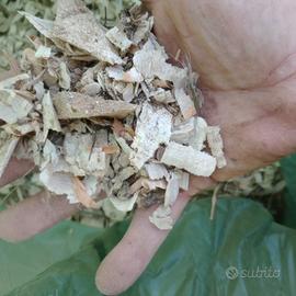 tritato o pittumato per caldaie a biomassa 