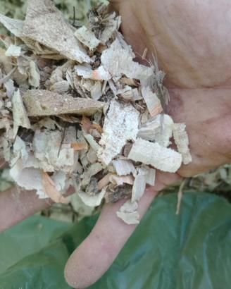 tritato o pittumato per caldaie a biomassa 