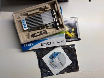 Scheda Grafica MSI Nvidia N210