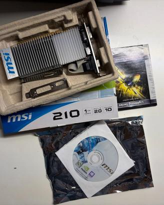 Scheda Grafica MSI Nvidia N210
