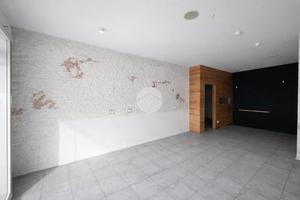 NEGOZIO A ALBANO SANT'ALESSANDRO