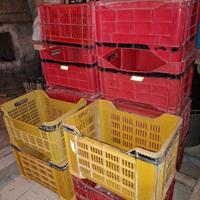 cassette x olive impilabili traforate rosse gialle