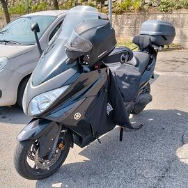 Tmax 500 anno 2009