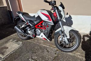 BENELLI BN 251