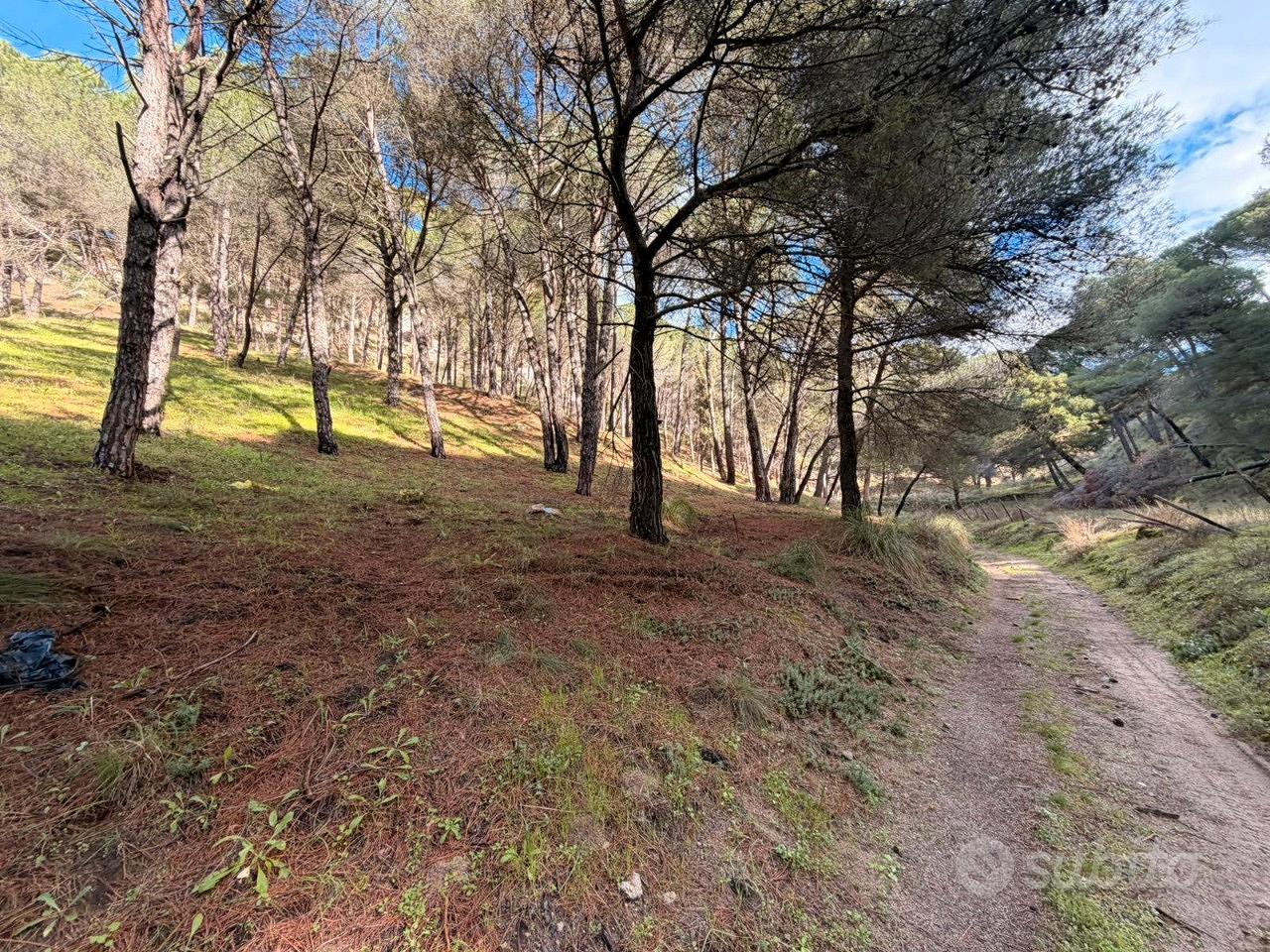 Terreno Boschivo Terreti 20650 Mq - Vista 3