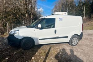 furgone Doblò con cella frigorifera certificata