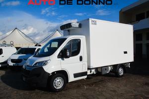 Fiat DUCATO 2.2 HDI 165CV CELLA FRIGO FRCX 2021