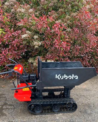 M175- Motocarriola Kubota