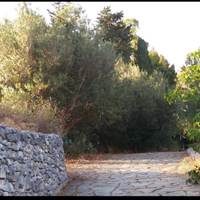 Villa rustica in pietra con uliveto e zonabarbecue