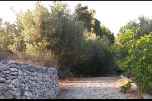 Villa rustica in pietra con uliveto e zonabarbecue