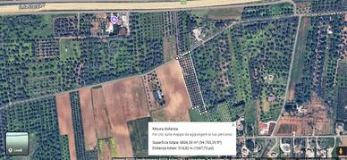 Terreno edificabile zona vergine mesagne