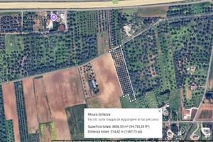 Terreno edificabile zona vergine mesagne