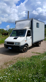 Iveco daily trasporto animali vivi