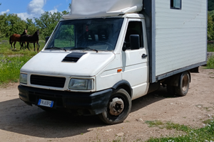 Iveco daily trasporto animali vivi