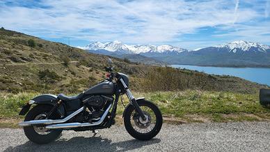 Harley Davidson street bob - 2017