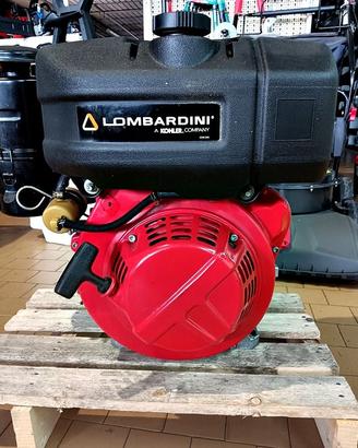 Motore Lombardini Diesel 12HP Usato