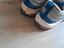 Immagine 2