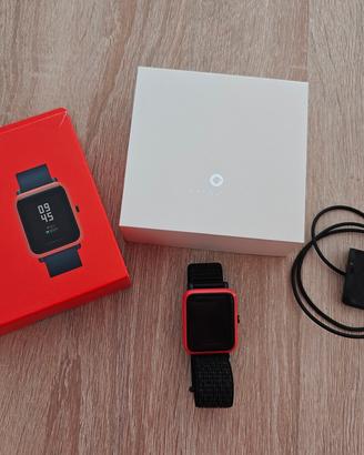 smartband