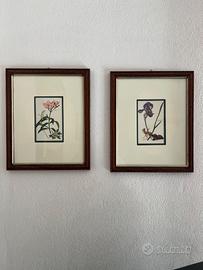 Stampe antiche dell'artista belga Pierre-Joseph Re