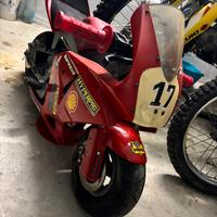 Minimoto polini