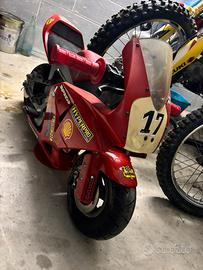 Minimoto polini