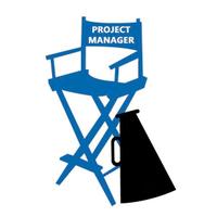 Project/program manager